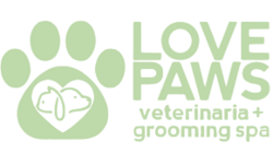 lovepaws.com.mx